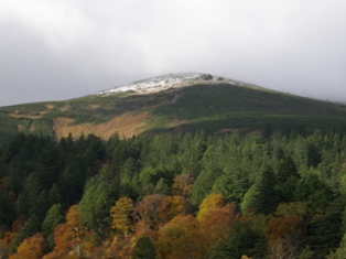 至仏山冠雪