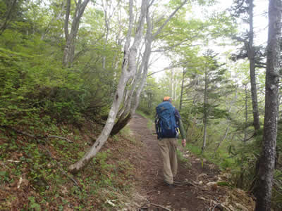 登山道