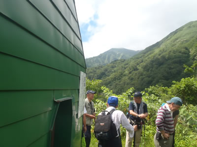 白樺小屋