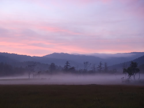 夕霧