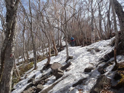 登山道