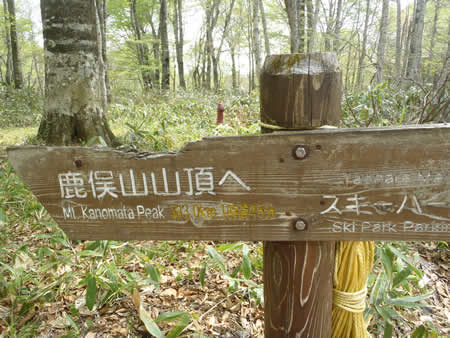 鹿俣登山口