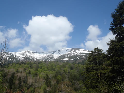 至仏山