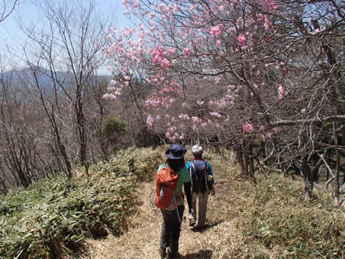 袈裟丸山