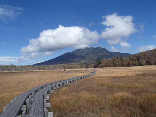 尾瀬ヶ原