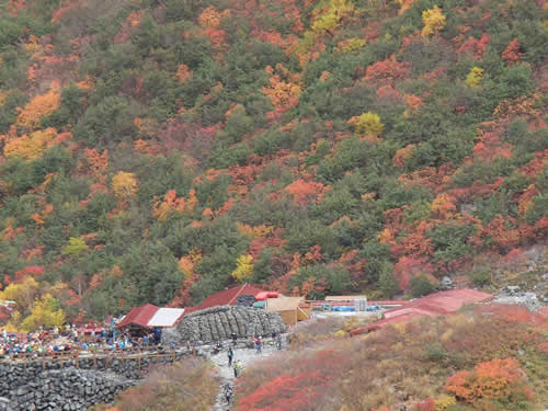 涸沢の紅葉