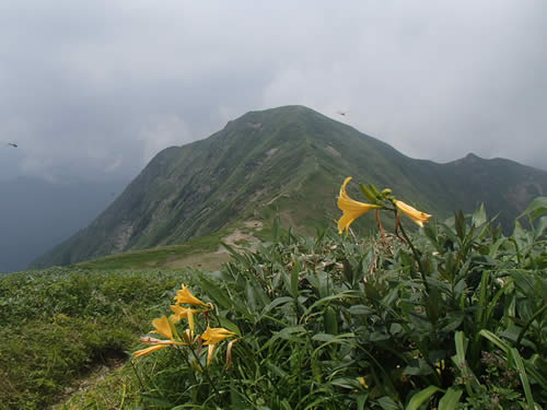 谷川岳