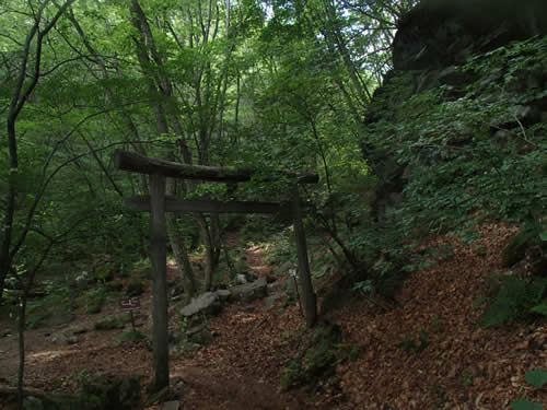 鳥居 鳥居