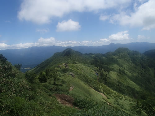 中野だけ