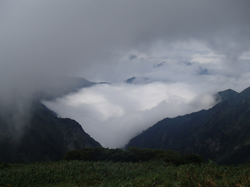 雲海