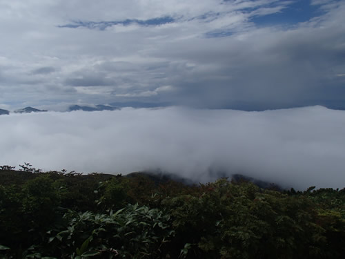 雲海