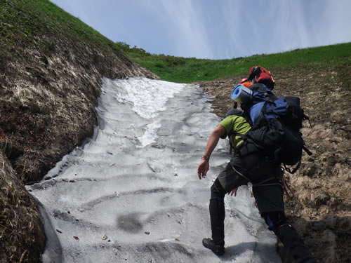 雪田