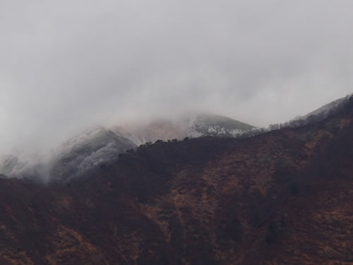 冠雪