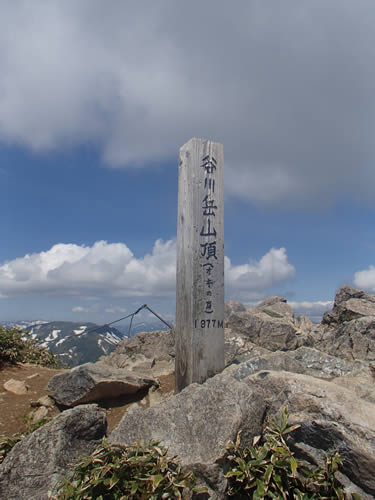 谷川山頂