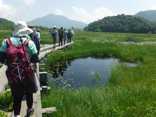 尾瀬ヶ原