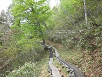 尾瀬鳩待峠