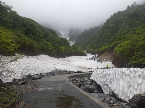 一ノ倉雪渓。