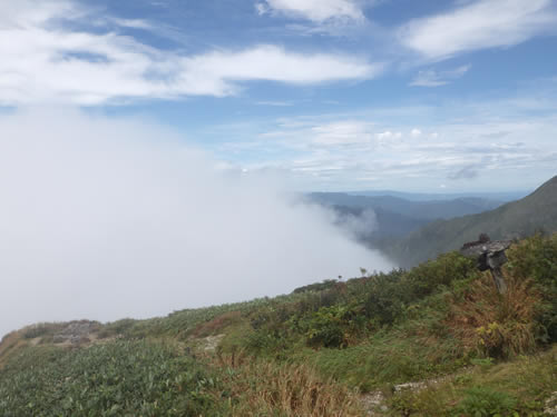 谷川岳雲海