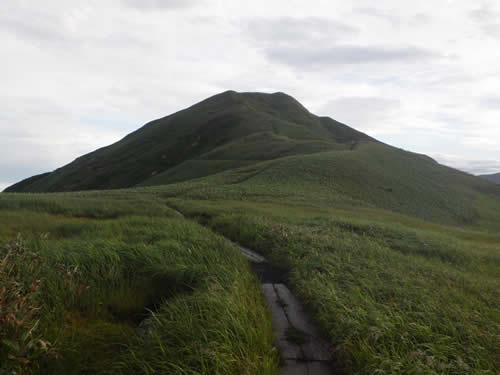 小湿原