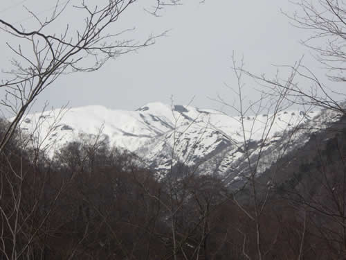 七つ小屋山