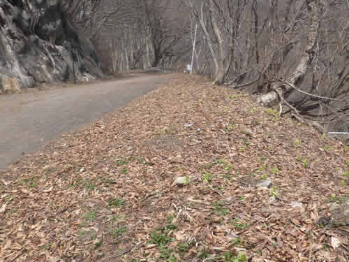 一ノ倉コース入り繰り