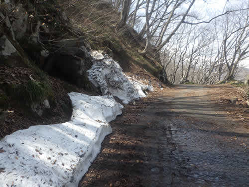 雪解け