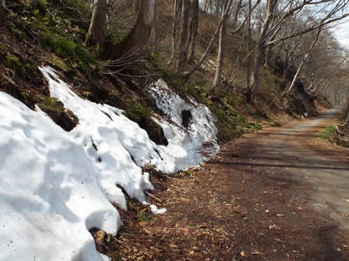 残雪