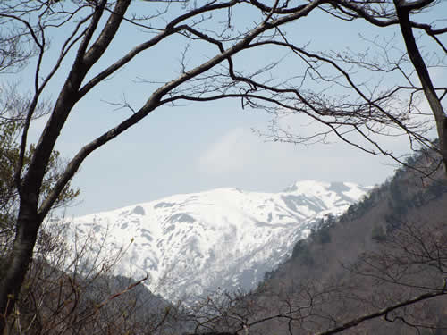 七つ小屋山