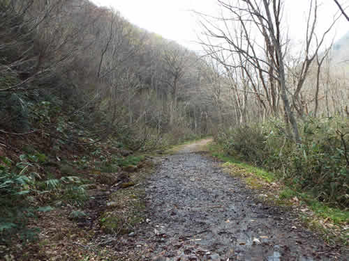 谷川岳インフォメーションセンター