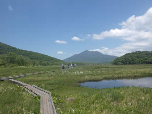 尾瀬ヶ原