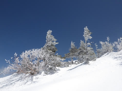 日光白根山