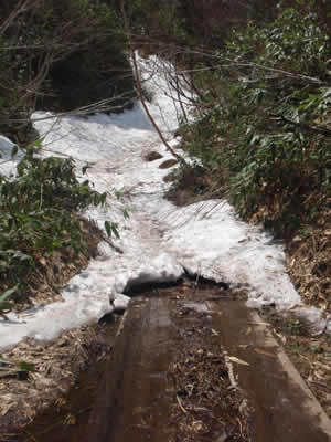 白砂峠