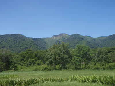 景鶴山