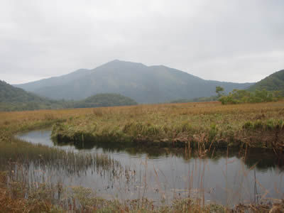 下ノ大堀川