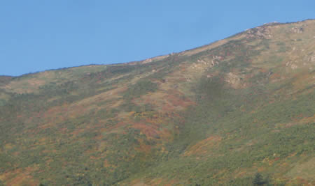 至仏山の紅葉