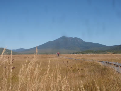 中田代と燧ケ岳