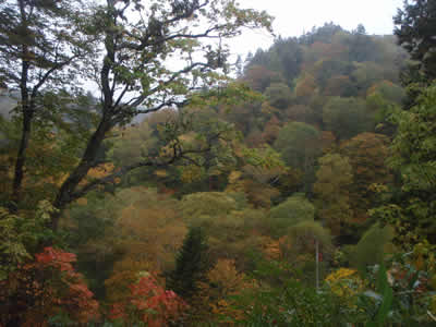 鳩待峠