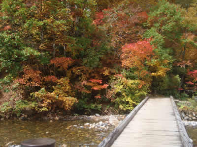 川上橋