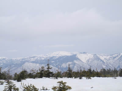 景鶴山