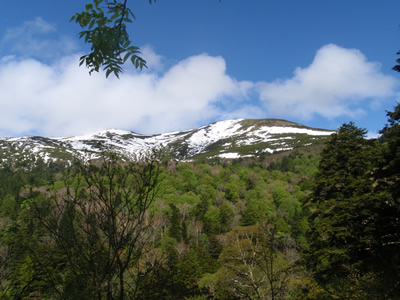 至仏山