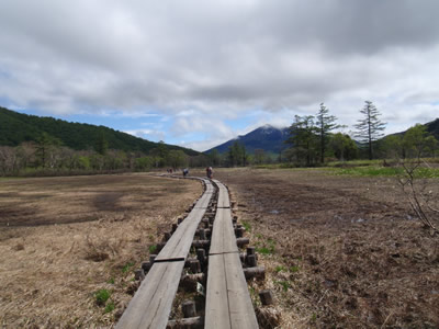 上田代